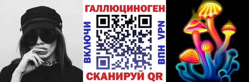 Псилоцибиновые грибы Psilocybine cubensis  хочу   Чаплыгин 